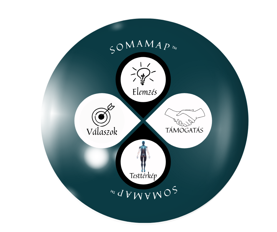 SOMAMAP™ modell